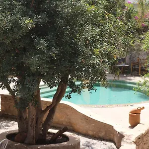 https://villa-grenadine.essaouirahotels.net